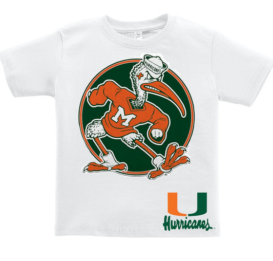 Miami hurricanes